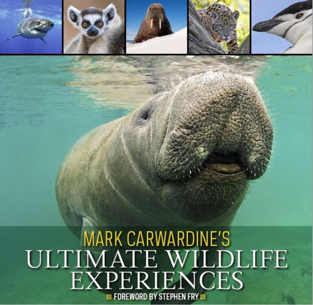 Mark Carwardine's Ultimate Wildlife Experiences, Paperback / softback Book