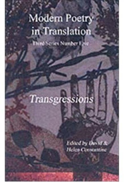 Transgressions, Paperback / softback Book