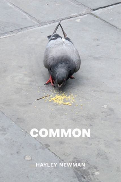 Common, Paperback / softback Book