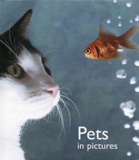 Pets in Pictures, Hardback Book