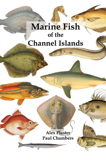 Marine Fish of the Channel Islands, Paperback / softback Book