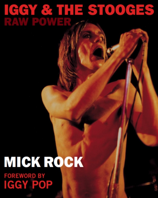 Iggy & The Stooges: Raw Power, Paperback / softback Book