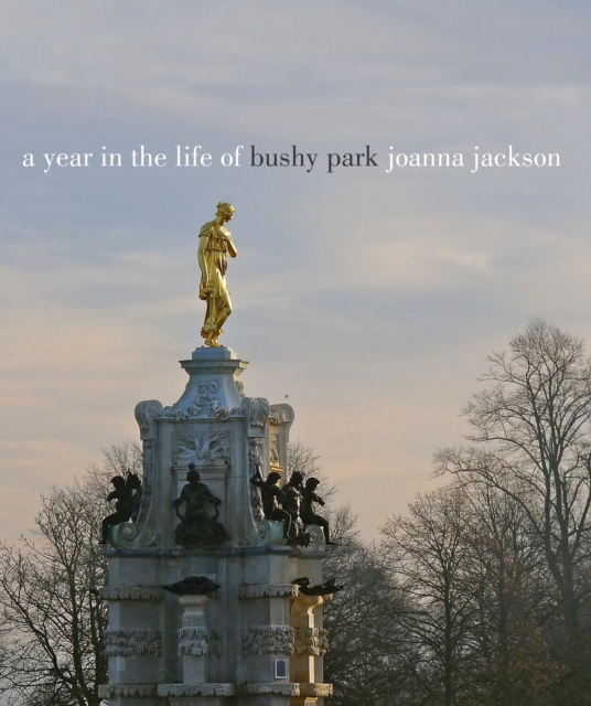 A Year in the Life of Bushy Park, Hardback Book