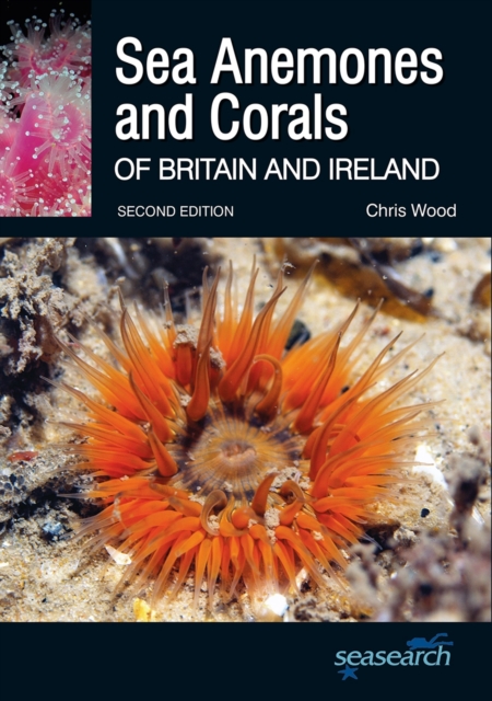 Sea Anemones and Corals of Britain and Ireland, Paperback / softback Book