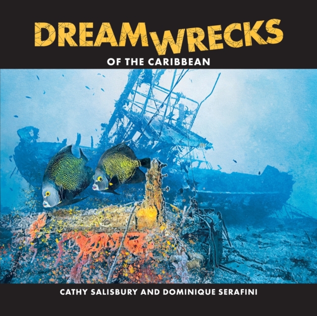 DreamWrecks of the Caribbean : Diving the best shipwrecks of the region, Paperback / softback Book