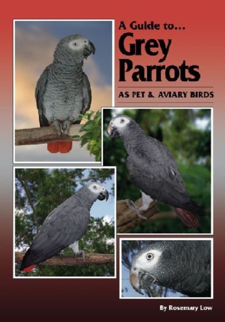 Guide to Grey Parrots as Pets and Aviary Birds, Hardback Book