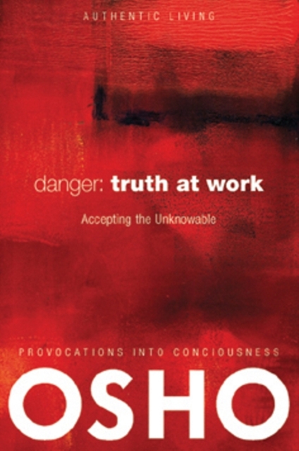 Danger: Truth at Work : The Courage to Accept the Unknowable, Paperback / softback Book