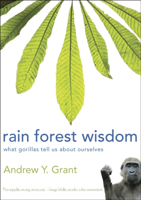Rain Forest Wisdom : What Gorillas Tell Us About Ourselves, Paperback / softback Book