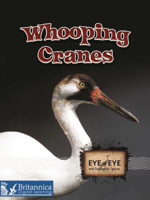 Whooping Cranes, PDF eBook