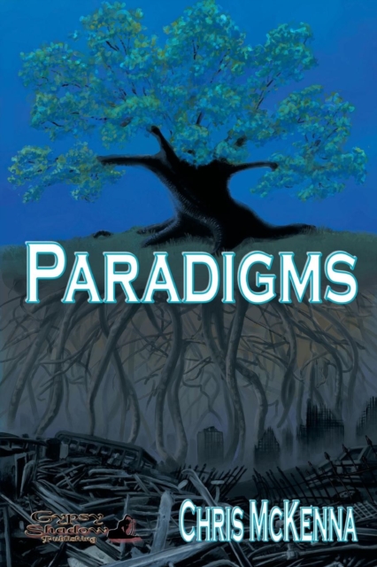 Paradigms, Paperback Book