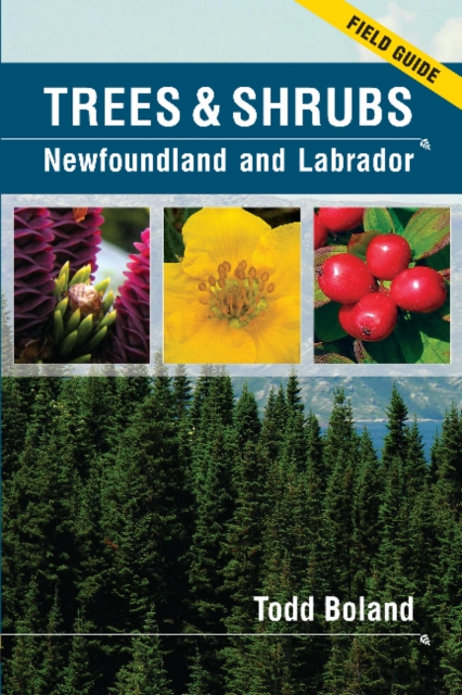 Trees & Shrubs of Newfoundland & Labrador : Field Guide, Paperback / softback Book