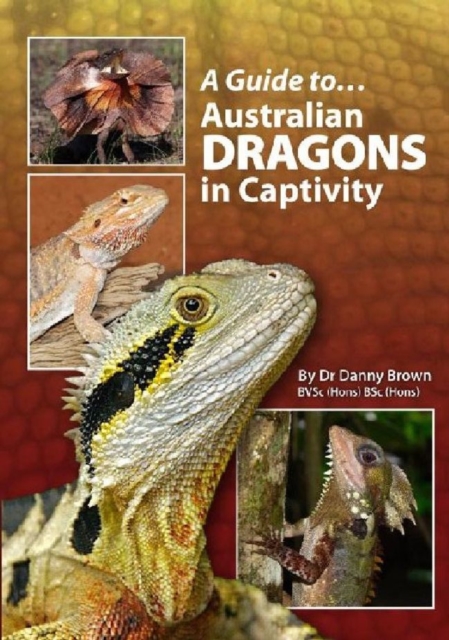 Australian Dragons In Captivity, Paperback / softback Book