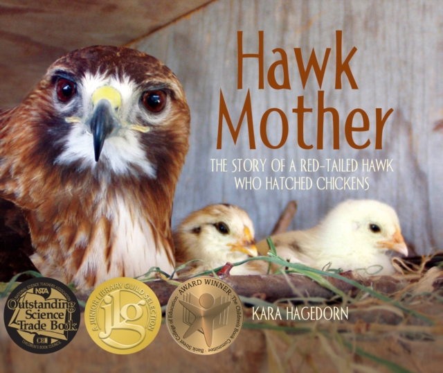 Hawk Mother : The Story of a Red-tailed Hawk Who Hatched Chickens, Hardback Book