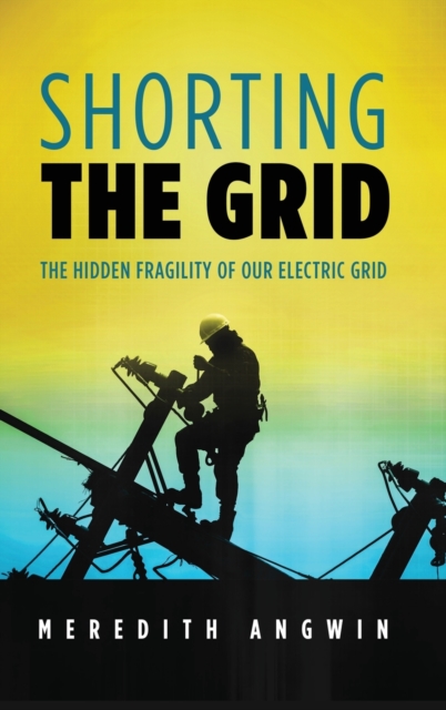 Shorting the Grid : The Hidden Fragility of Our Electric Grid, Hardback Book