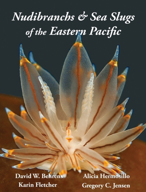 Nudibranchs & Sea Slugs of the Eastern Pacific, Hardback Book