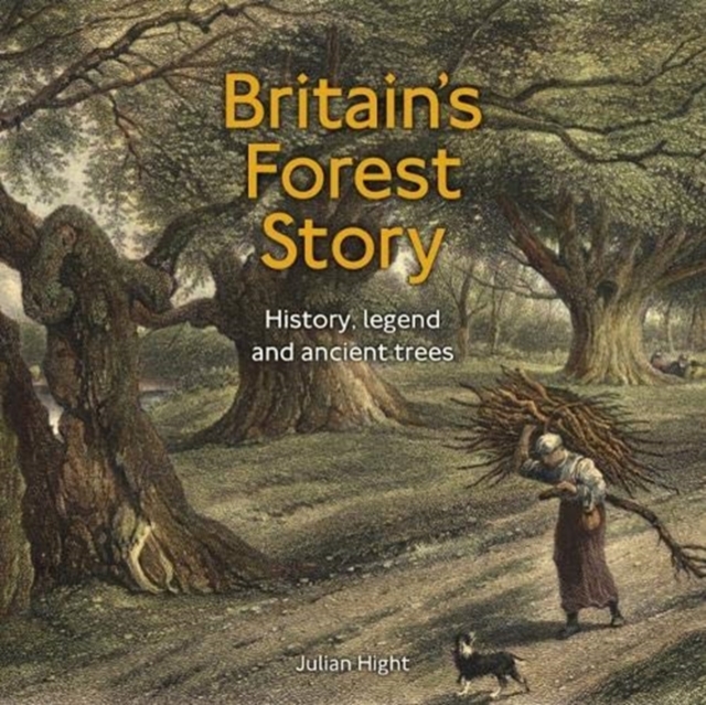 Britain's Ancient Forest : Legacy and lore, Mixed media product Book