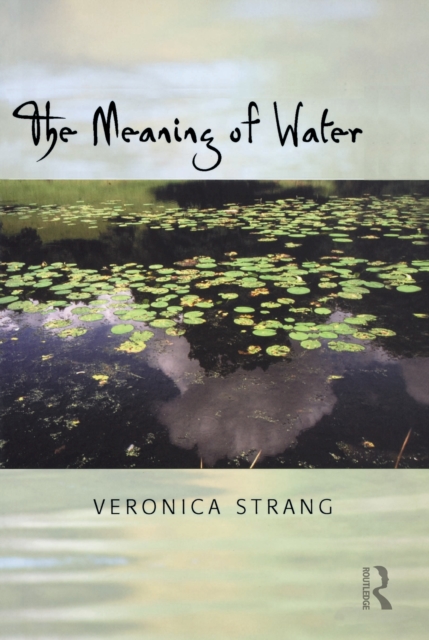 The Meaning of Water, PDF eBook