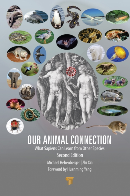 Our Animal Connection : What Sapiens Can Learn from Other Species, EPUB eBook