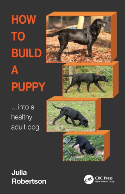 How to Build a Puppy : Into a Healthy Adult Dog, PDF eBook