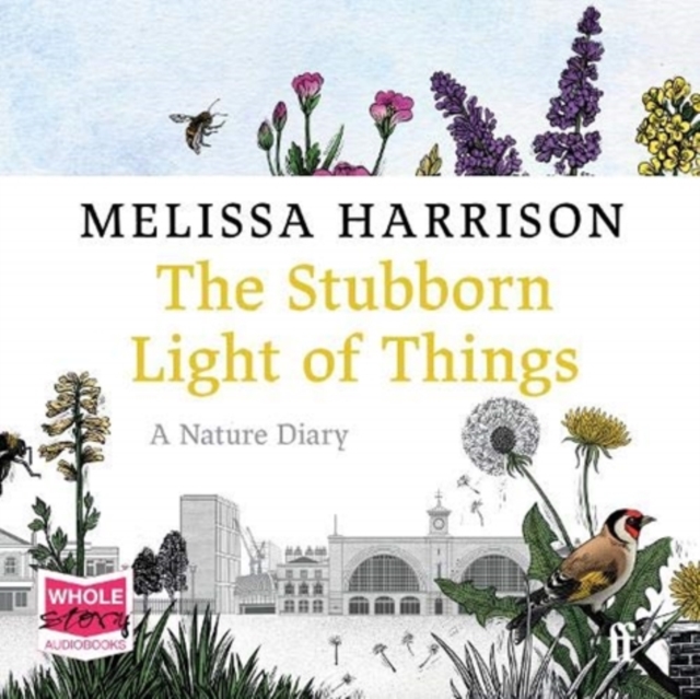 The Stubborn Light of Things, CD-Audio Book