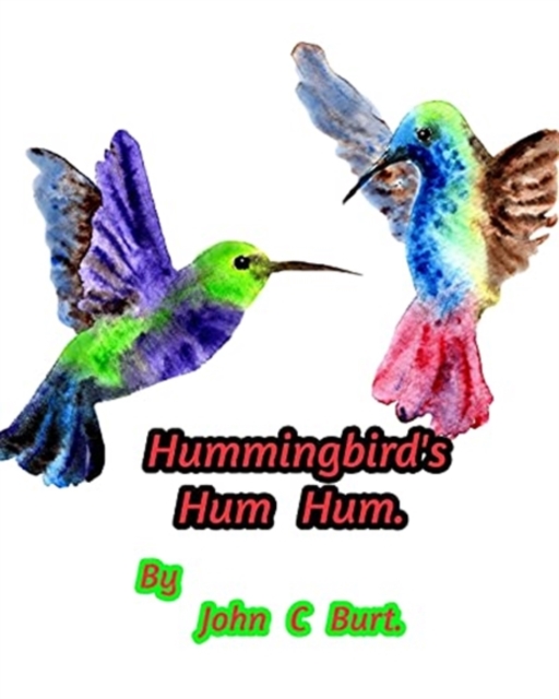 Hummingbird's Hum Hum., Paperback / softback Book