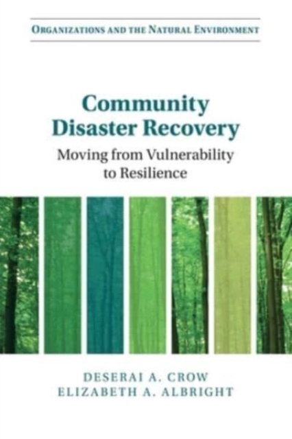 Community Disaster Recovery : Moving from Vulnerability to Resilience, Paperback / softback Book