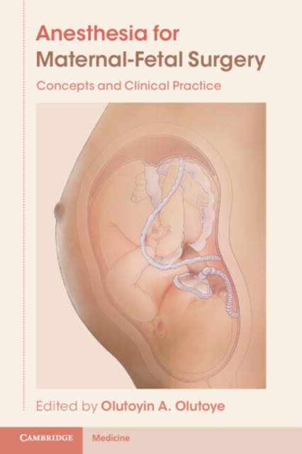 Anesthesia for Maternal-Fetal Surgery : Concepts and Clinical Practice, Paperback / softback Book