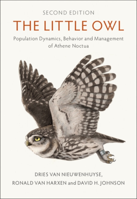 The Little Owl : Population Dynamics, Behavior and Management of Athene Noctua, Hardback Book