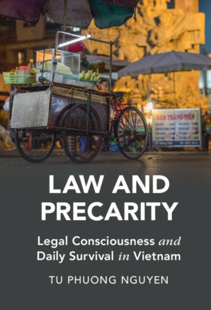 Law and Precarity : Legal Consciousness and Daily Survival in Vietnam, PDF eBook