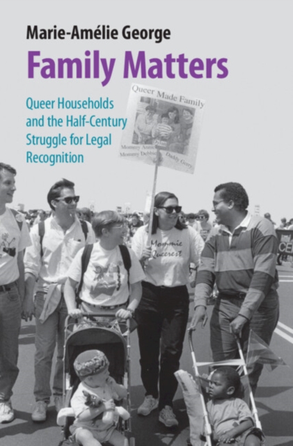 Family Matters : Queer Households and the Half-Century Struggle for Legal Recognition, Hardback Book