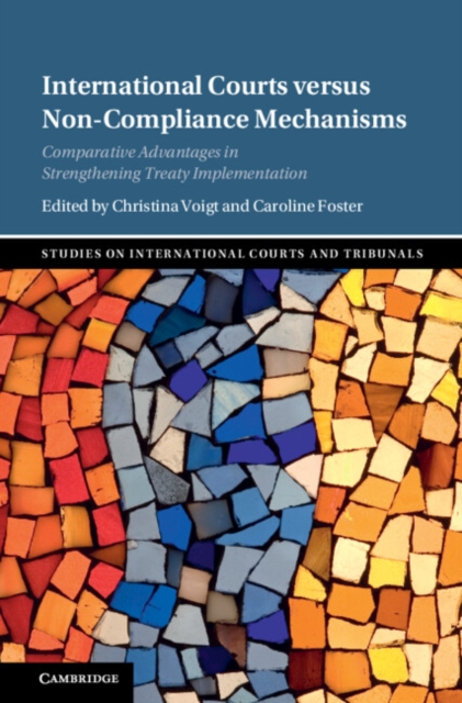 International Courts versus Non-Compliance Mechanisms : Comparative Advantages in Strengthening Treaty Implementation, PDF eBook