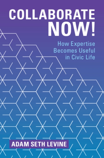 Collaborate Now! : How Expertise Becomes Useful in Civic Life, EPUB eBook