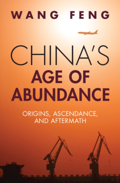 China's Age of Abundance : Origins, Ascendance, and Aftermath, Hardback Book