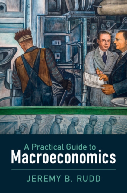 Practical Guide to Macroeconomics, EPUB eBook