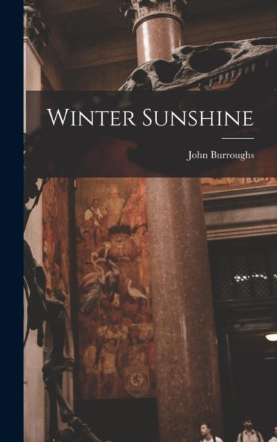 Winter Sunshine, Hardback Book