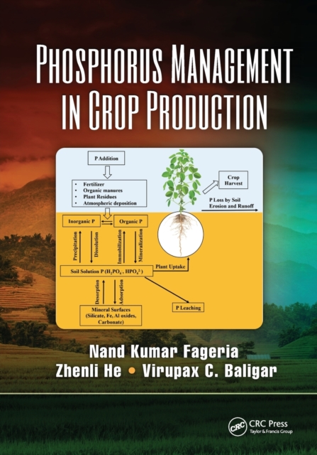 Phosphorus Management in Crop Production, Paperback / softback Book