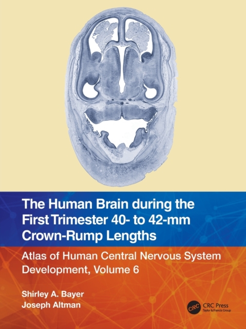 The Human Brain during the First Trimester 40- to 42-mm Crown-Rump Lengths : Atlas of Human Central Nervous System Development, Volume 6, Paperback / softback Book