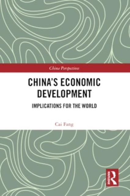 China's Economic Development : Implications for the World, Paperback / softback Book