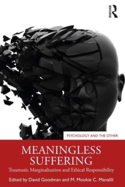 Meaningless Suffering : Traumatic Marginalisation and Ethical Responsibility, Paperback / softback Book