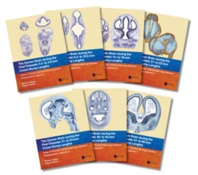 The Human Brain During the First Trimester : Atlas of Human Central Nervous System Development, Volume 1-7, Multiple-component retail product Book