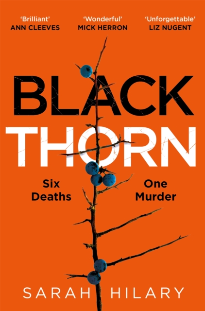 Black Thorn : A slow-burning, multi-layered mystery about families and their secrets and lies, Paperback / softback Book