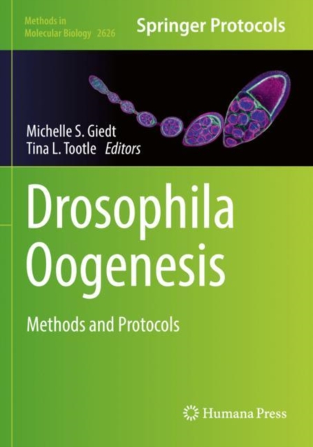 Drosophila Oogenesis : Methods and Protocols, Paperback / softback Book