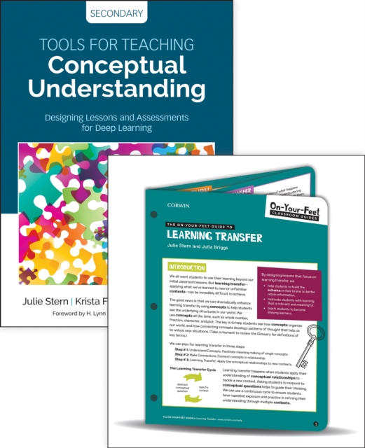 BUNDLE: Stern: Tools for Teaching Conceptual Understanding, Secondary + Stern: On-Your-Feet Guide to Learning Transfer, Multiple-component retail product Book