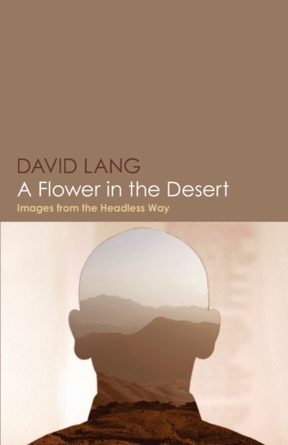 A Flower in the Desert : Images from the Headless Way, Paperback / softback Book
