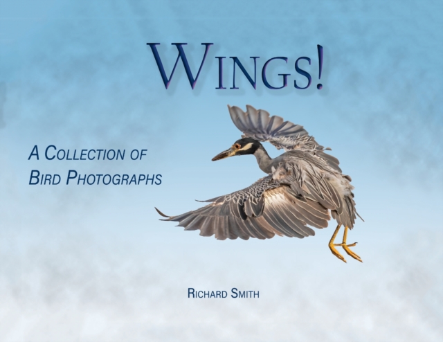 Wings!, Paperback / softback Book