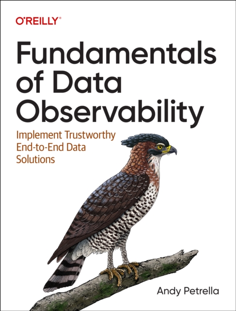 Fundamentals of Data Observability : Implement Trustworthy End-To-End Data Solutions, Paperback / softback Book