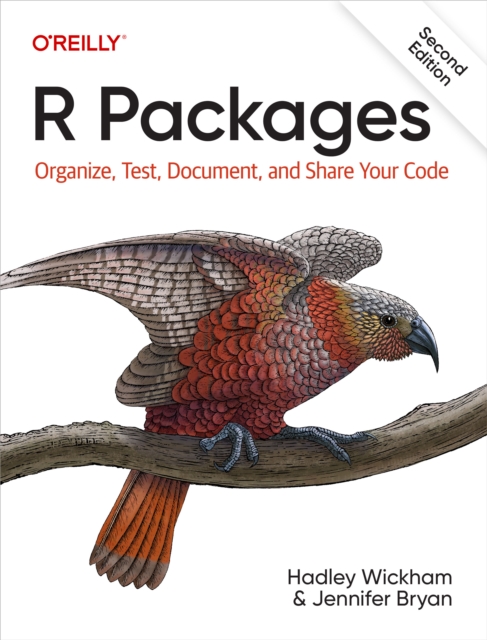 R Packages, PDF eBook