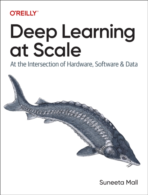 Deep Learning at Scale, Paperback / softback Book