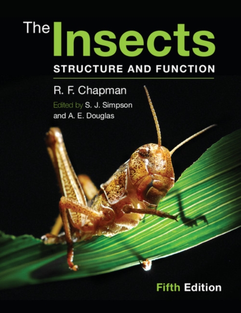 Insects : Structure and Function, EPUB eBook