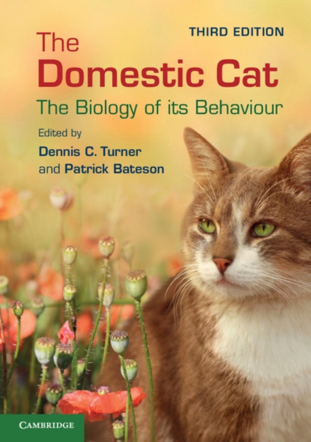 Domestic Cat : The Biology of its Behaviour, PDF eBook